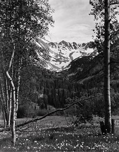 Image description is not available for 1996.081